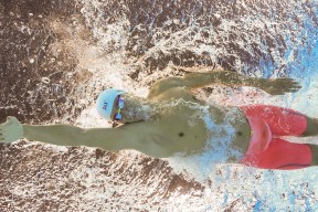 爱游戏体育app-澳大利亚袋鼠队：传球精准与战术快速结合，澳大利亚袋鼠比赛