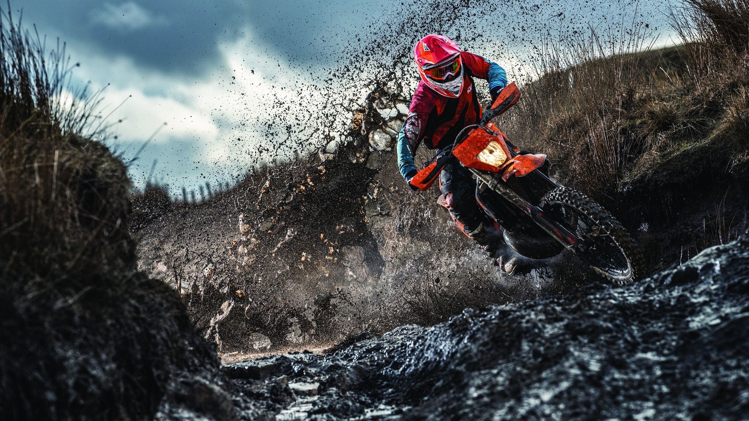 蝶泳赛场希腊节奏精准有力，蝶泳的比赛视频