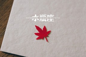 爱游戏体育（AYX）官方APP下载-史上最“恐怖”的防守者之一：斯托亚科维奇连续两场抢断数超过5次！