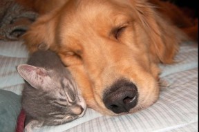 爱游戏官网-“青训基地引入高科技仿真训练系统，提升实战能力”，青训基地是什么